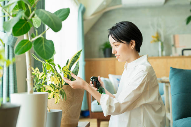 istock Women watering houseplants before work. 2158517044