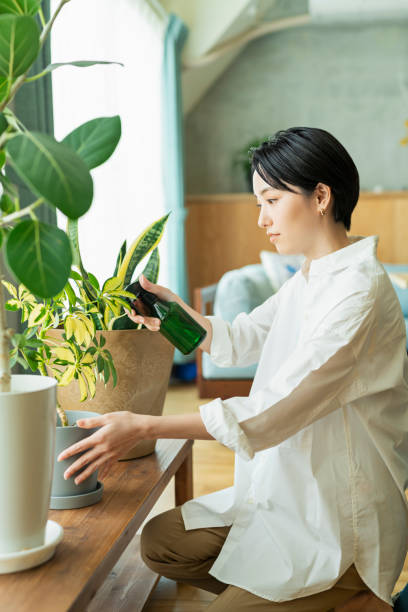 istock Women watering houseplants before work. 2158517240