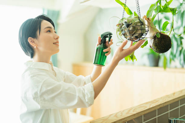 istock Women watering houseplants before work. 2158517483