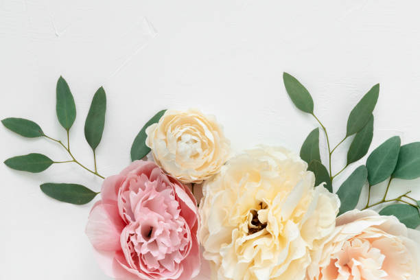 istock Pastel peony and ranunculus flowers on white background 2158521038