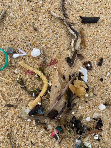 istock Mess of ugly garbage washed up on sandy beach 2158522370