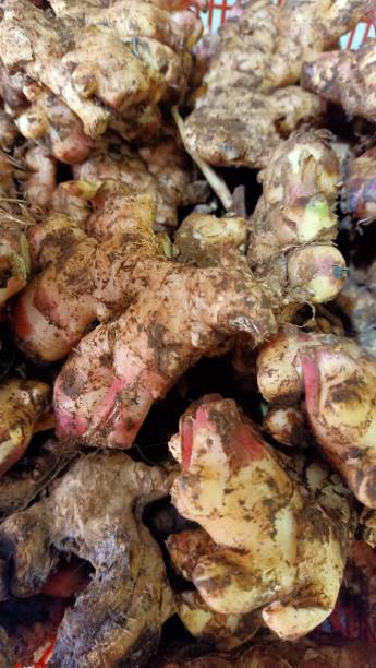 istock Close up of ginger at a market stall 2158524473