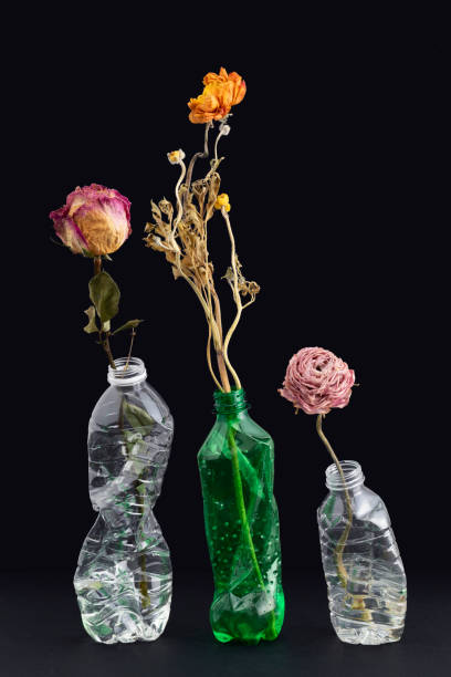istock Dried flowers in crashed plastic bottles on a black background 2158525168
