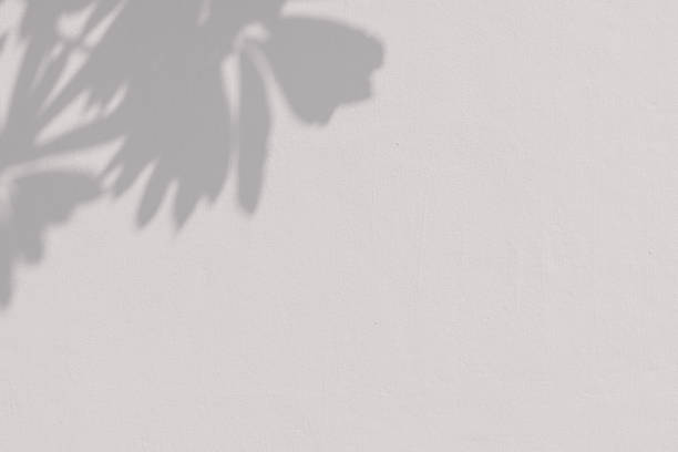 istock Shadow of leaves on a concrete wall 2158525539