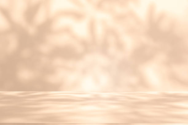 istock Wall interior background, studio and backdrops show products.with shadow leaf from window color white and beige . background for text insertion and presentation product 2158525771