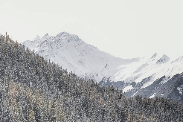 European Alps in winter