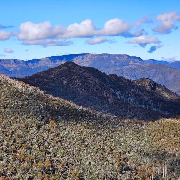 istock Textured Layers of the High Country 2158528601