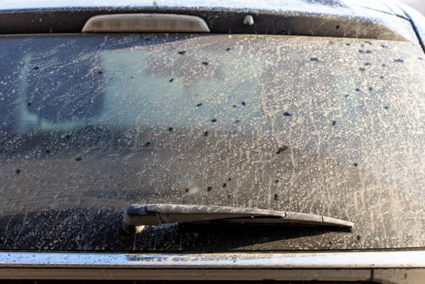 istock Dirt on the car glass 2158533449