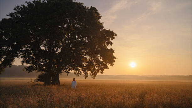 istock Serene Sunset Scene with Lone Woman and Majestic Tree 2158534511