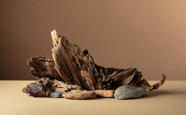 istock Abstract nature scene with a composition of stones and dry snags. 2158535545