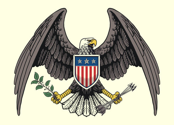istock Vintage Illustration of American Eagle Holding an Olive Branch And Arrows 2158535656