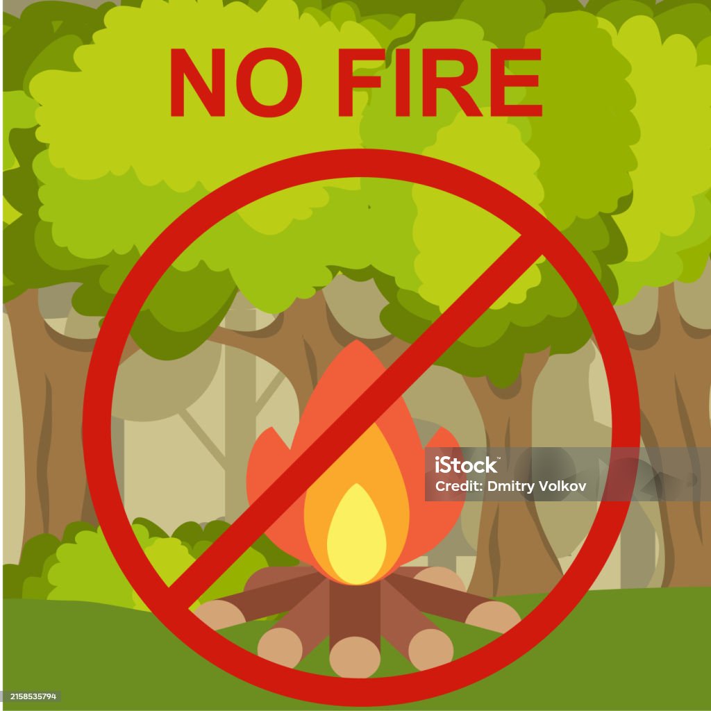 Problem No Problem Fire No Fire No Fire Lighting A Fire Is Prohibited Vector Cartoon ...
