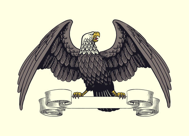 Vector of Hand Drawn Illustration of bald Eagle Perched on Ribbon Vintage
