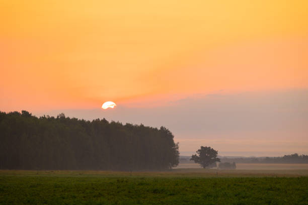 A beautiful red sun disc rising above the horizon. Natural scenery of summer in rural Latvia, Northern Europe.