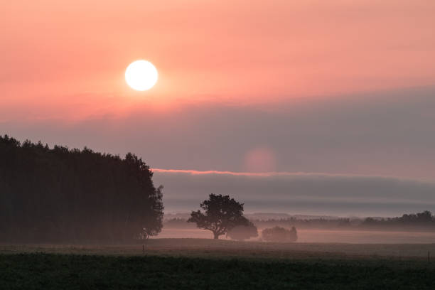 istock A beautiful red sun disc rising above the horizon. 2158536731