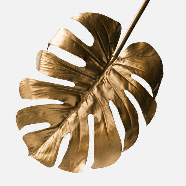 istock Golden monstera leaf on a white background mockup 2158537228