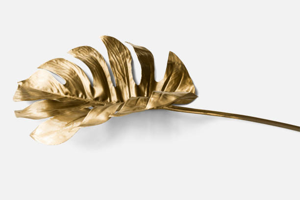 istock Golden monstera leaf on a white background mockup 2158537231