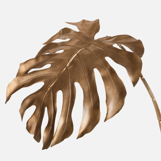 istock Golden monstera leaf on a white background mockup 2158537511