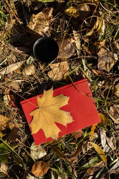 Thermos of hot tea red diary and yellow fallen maple leaf in autumn