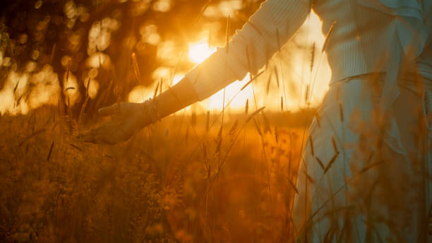 istock Woman Enjoying Countryside Sunset Stroll 2158539293