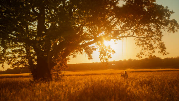 istock Serene Sunset Swing with Mother and Child 2158539313