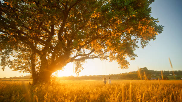 istock Sunset Swing Time with Mother and Daughter 2158539331