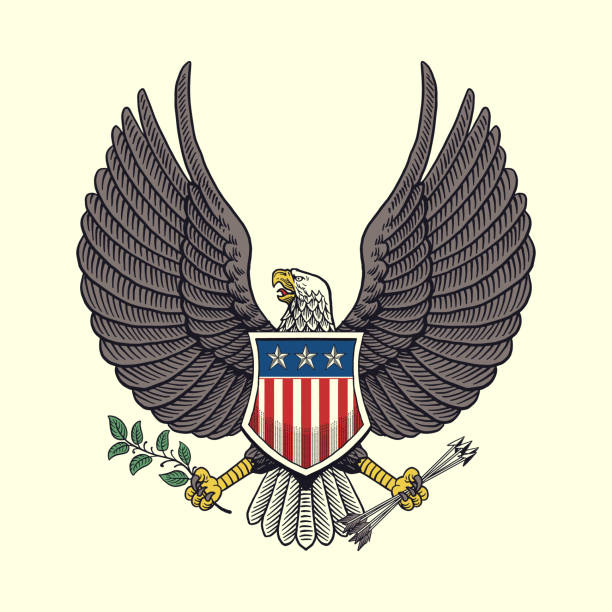 istock Vintage Hand Drawn Illustration of American Eagle Holding an Olive Branch And Arrows 2158541666