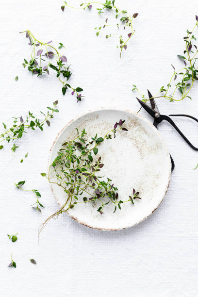 istock Thyme leaves on a dish flat lay food photography 2158542516