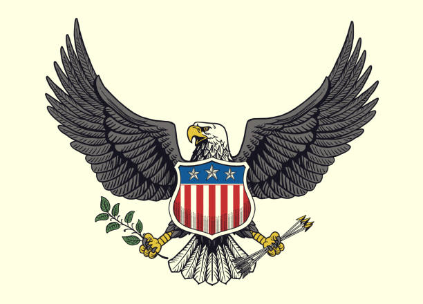istock Vintage Hand Drawn Illustration Of American Bald Eagle 2158542822