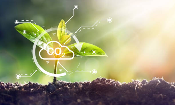 istock Environment. Crystal ball on moss in green forest. there is a symbolic icon Inclusive Environment, Ecology, Earth Day, Forest Conservation, CSR, ESG, NET ZERO 2158543472