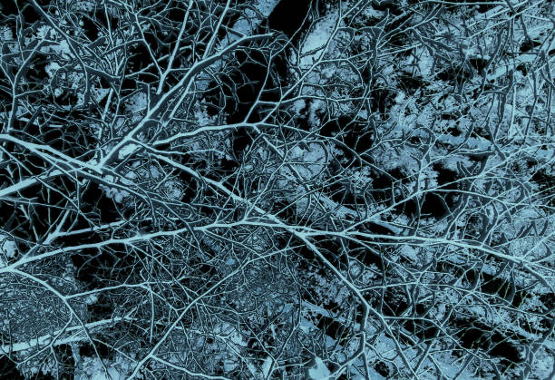 Abstract Pattern Similar To Trees Branches In Blue Color Stock Photo For Backgrounds