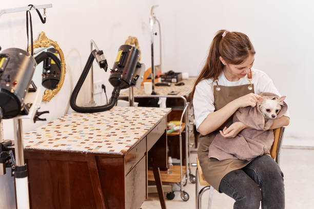 istock Groomer Holding Cute Dog in Towel 2158547196