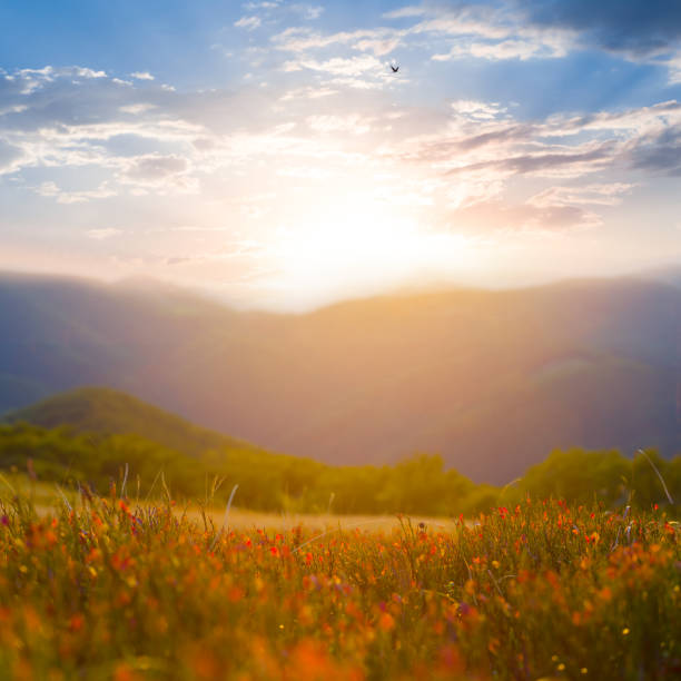 istock green mountain chain  at the sunset 2158547494