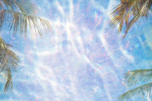 istock Shiny holographic tropical background design 2158548229