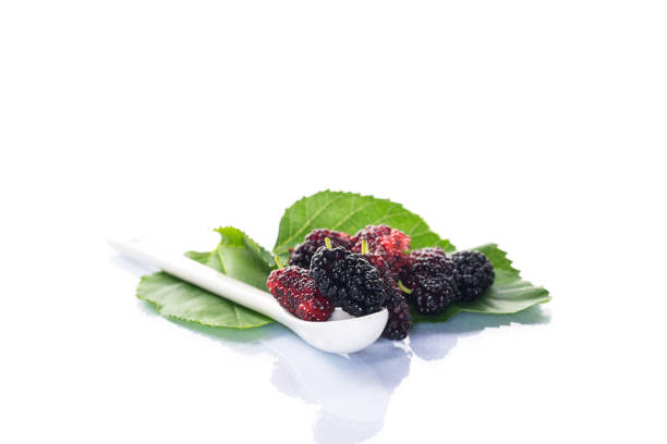 ripe black mulberry berries with leaves, isolated on white background .