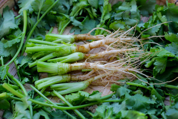 istock Fresh organic coriander, vegetables and herbs 2158549223