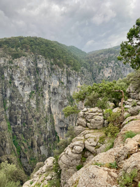 istock View of a rocky cliff covered with green trees 2158550957