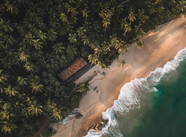 istock Beach Waves and Palm Trees of Sri Lanka 2158553406