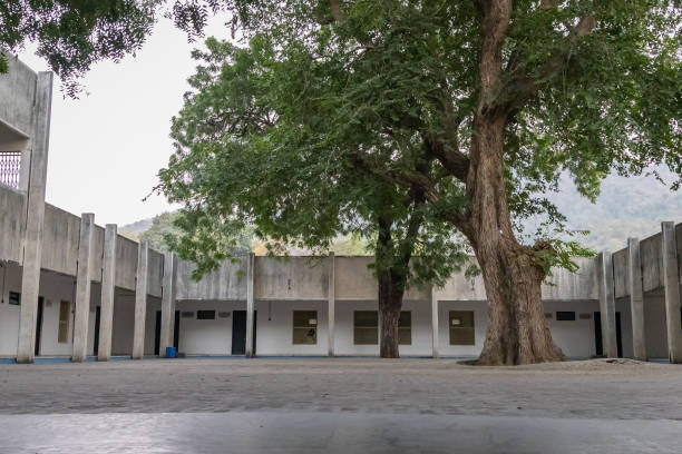 istock isolated vacant building with big tree at the center at day from flat angle 2158556954
