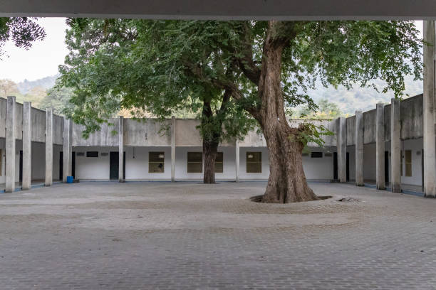 isolated vacant building with big tree at the center at day from flat angle