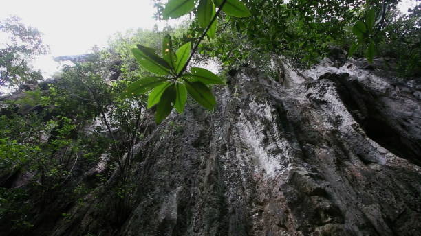 istock Towering mountain wall with lush greenery in canyon 2158557943