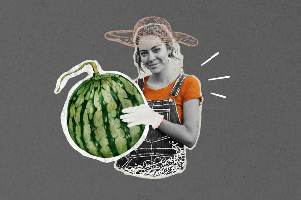 istock Woman farmer aesthetic background, creative agriculture collage 2158558661