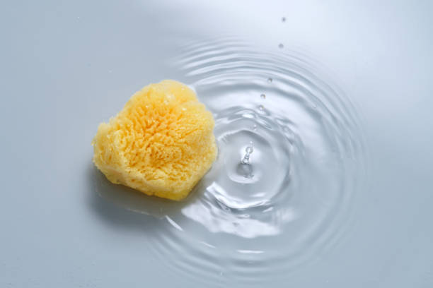 Natural sponge on a blue background with water.