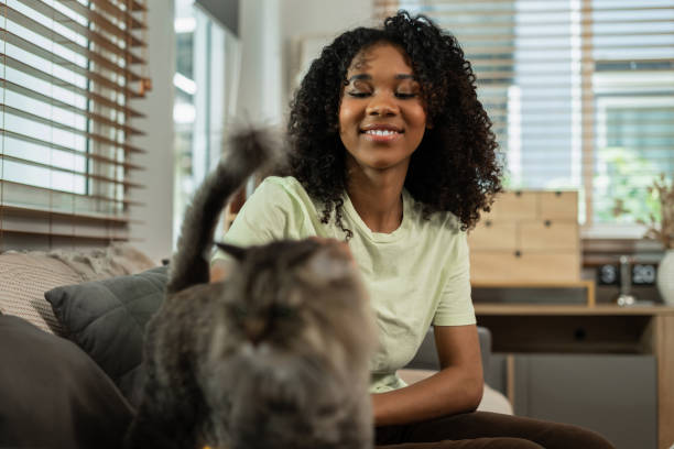 istock Happy lady working sitting on sofa at home office 2158568606