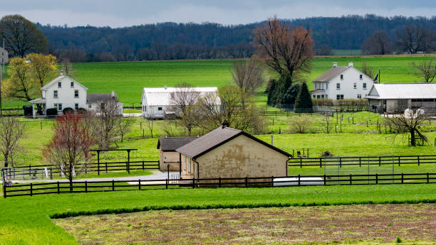 istock White Farmhouses Surrounded By Green Pastures And Fenced Fields, With Bare Trees Scattered 2158570009