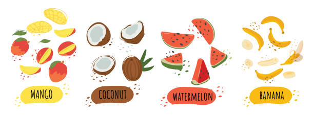 Coconut, mango, watermelon and banana. Set of tropical juicy fruits with inscriptions and dots. Set of tropical juicy fruits with inscriptions and dots. Coconut, mango, watermelon and banana on a white background. For stickers, packaging, logo. Simple vector graphics in flat style. mango jam stock illustrations