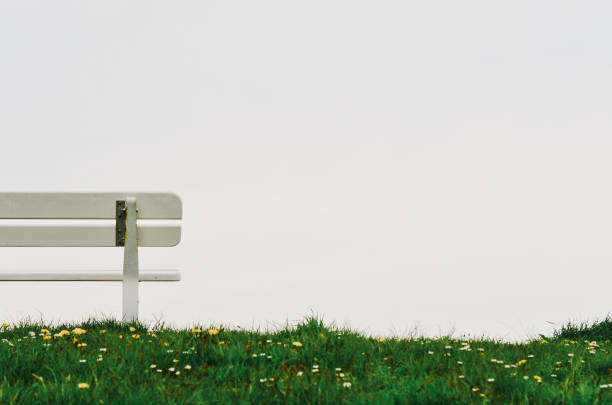 minimalist abstract partial view of a bench on a green levee