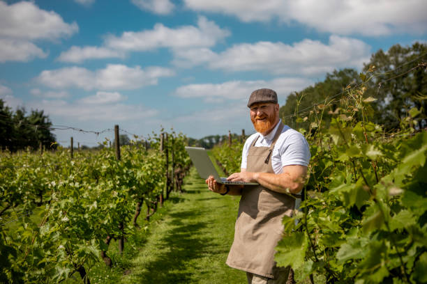 istock A redhead wine farmer in the Netherlands as an example of sustainability 2158573832