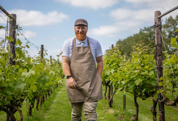 istock A redhead wine farmer in the Netherlands as an example of sustainability 2158573833