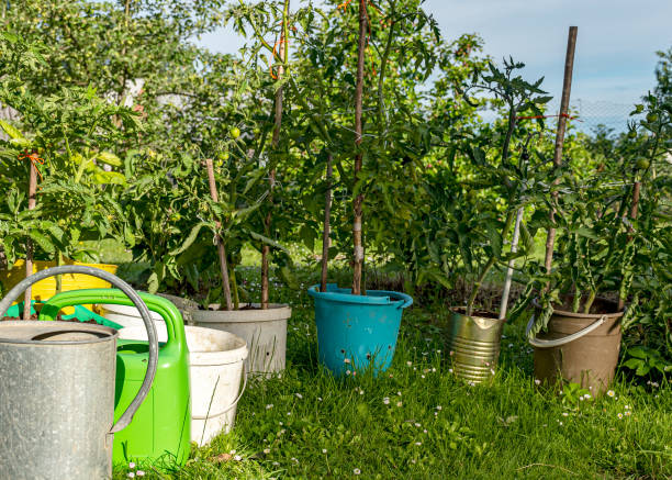istock landscape with garden in summer, decorative objects, garden lighting, small garden in summer, summer 2158575755
